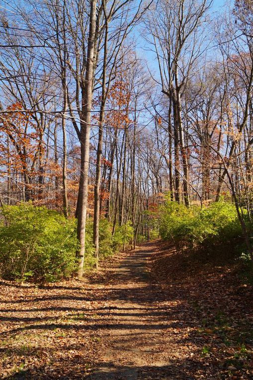 L'automne en Virginie, toujours aussi agréable. 