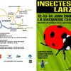 Programme Insectes2009