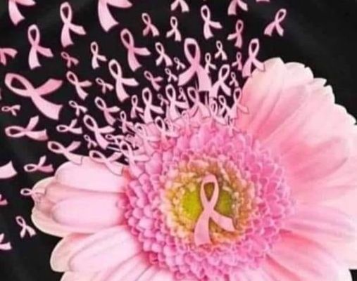 AU TOUQUET, POUR"OCTOBRE ROSE"? UNE CORRIDA ROSE CE DIMANCHE 6 OCTOBRTE ET DES MONUMENTS DE COULEUR ROSE  