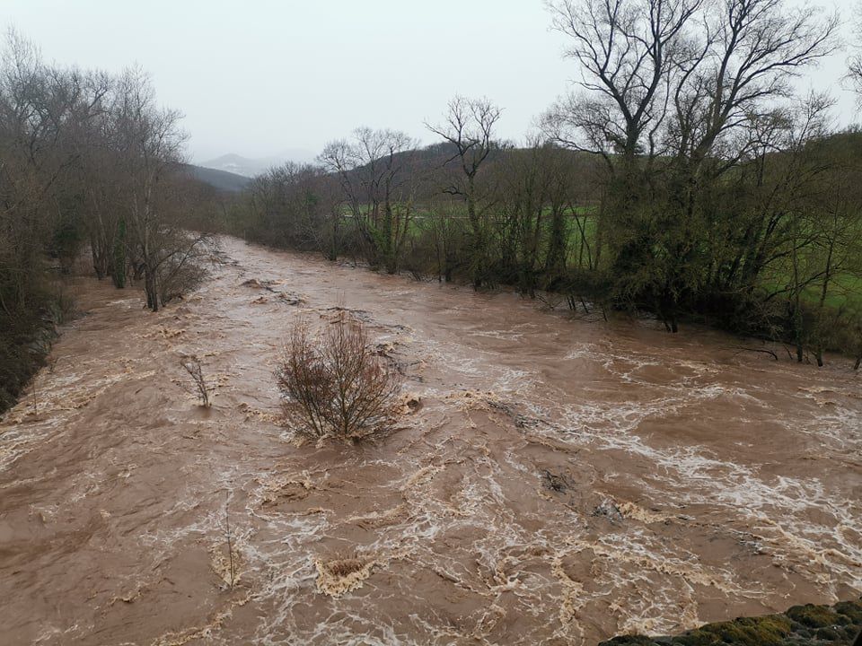 Le Dourdou, entre Montlaur et Rayssac