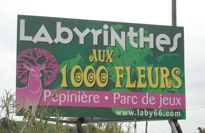 Le labyrinthe des 1000 fleurs