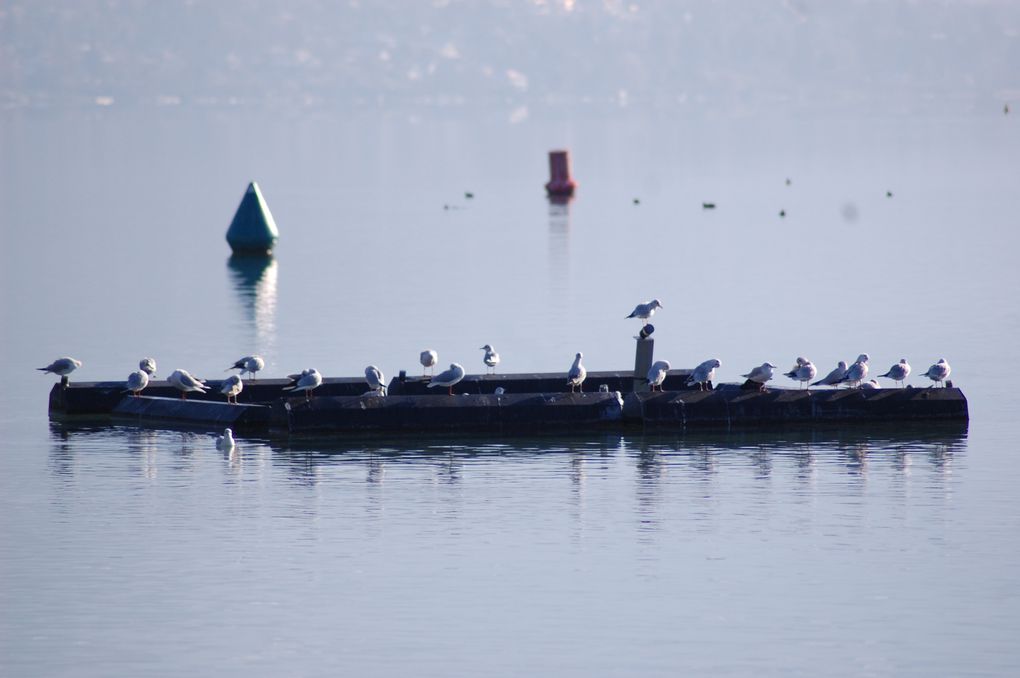 Album - Annecy