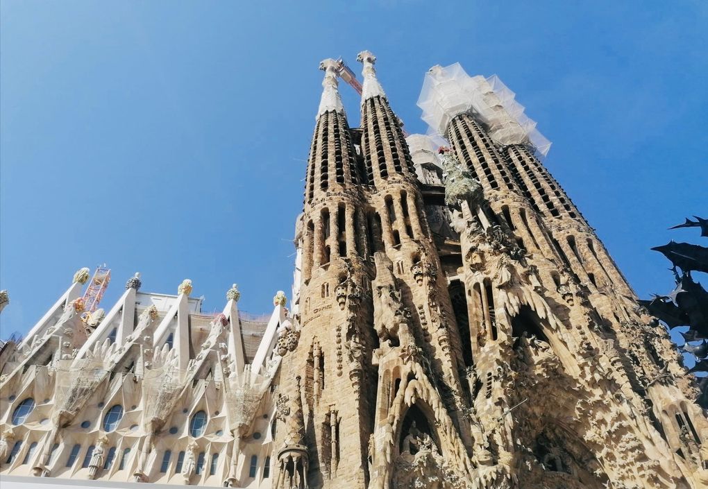 Sortie Jeunes Sagrada Família et Aquarium de Barcelona/Sortida Jovent Sagrada Família i Aquarium de Barcelona...