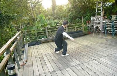 Yangjia michuan taiji quan Wudang jian par Lianxin Chen