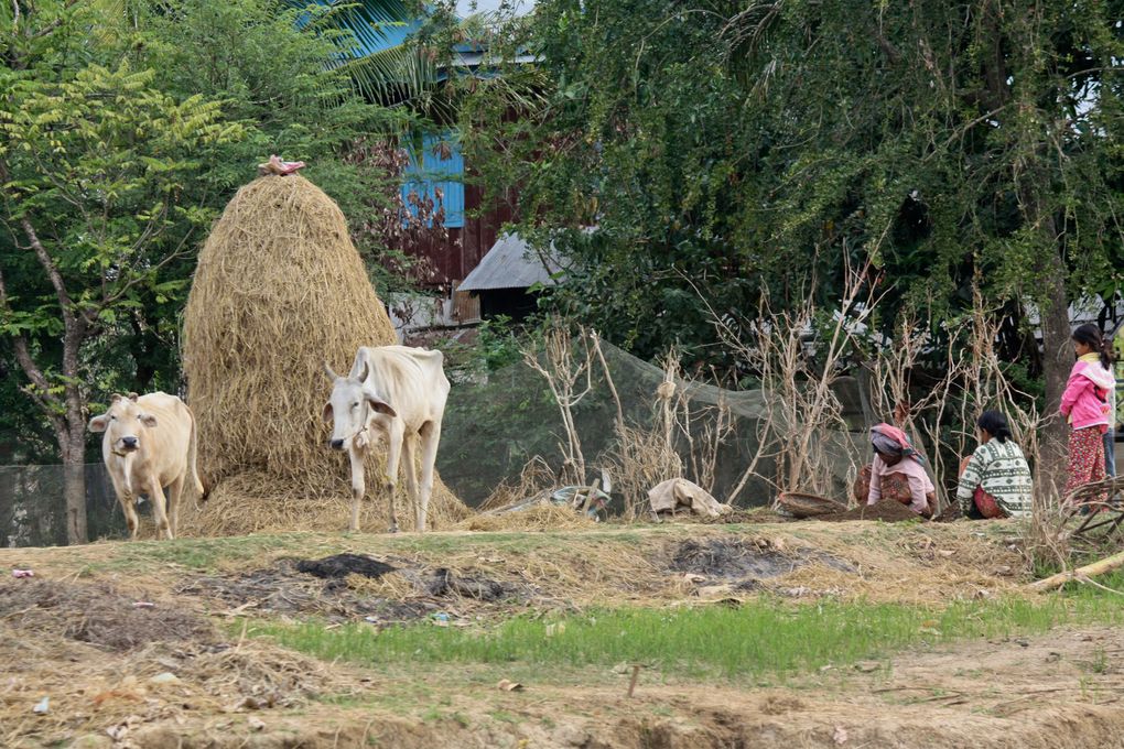 Album - Battambang-To-Siem-Reap