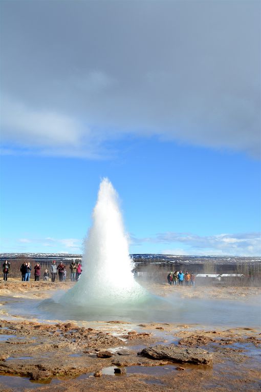 L'Islande... et ses Geyser!