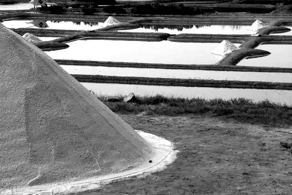 Album - Les Marais-salants de Guerande en noir et blanc