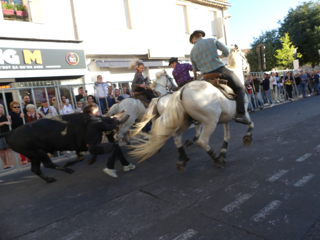 Balade à Nîmes...