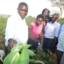 Des chercheurs ougandais prennent la route pour combattre la propagande anti-OGM