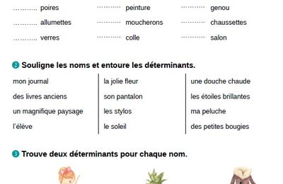 Le déterminant CP-CE1