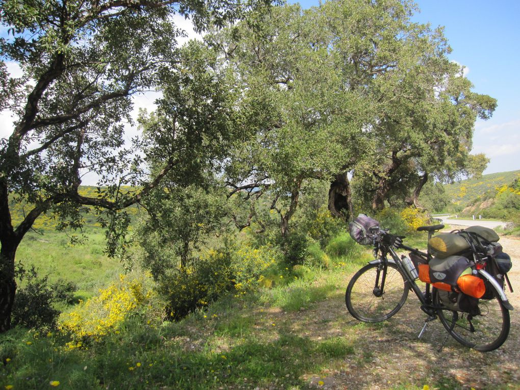 de Palau à Dorgali