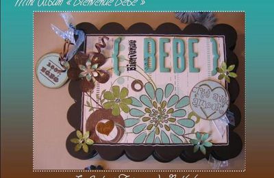 Mini Album "Bienvenue Bébé"