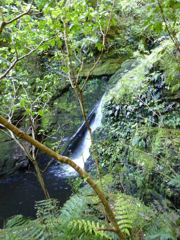 D'Invercargill à Dunedin