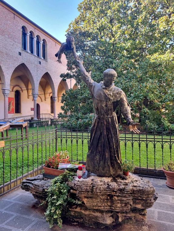 LE LAUREA MAGISTRALE &amp; LA BASILIQUE DE PADOUE (2)