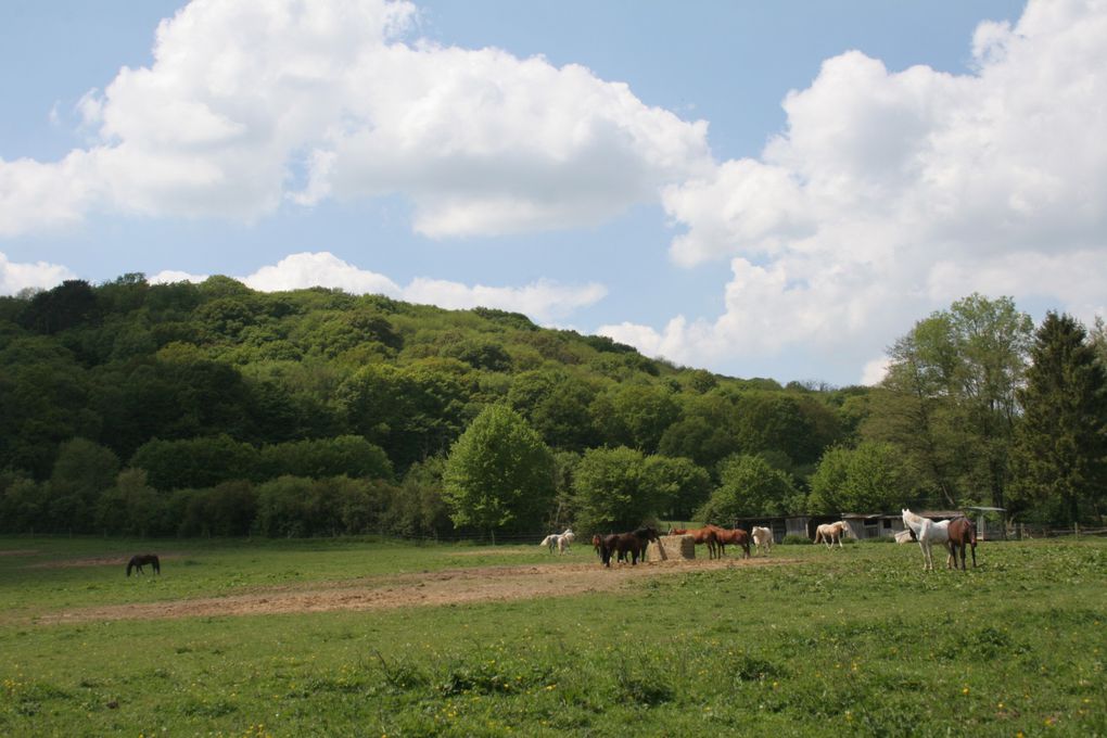 Album - Le Moulin Neuf en images