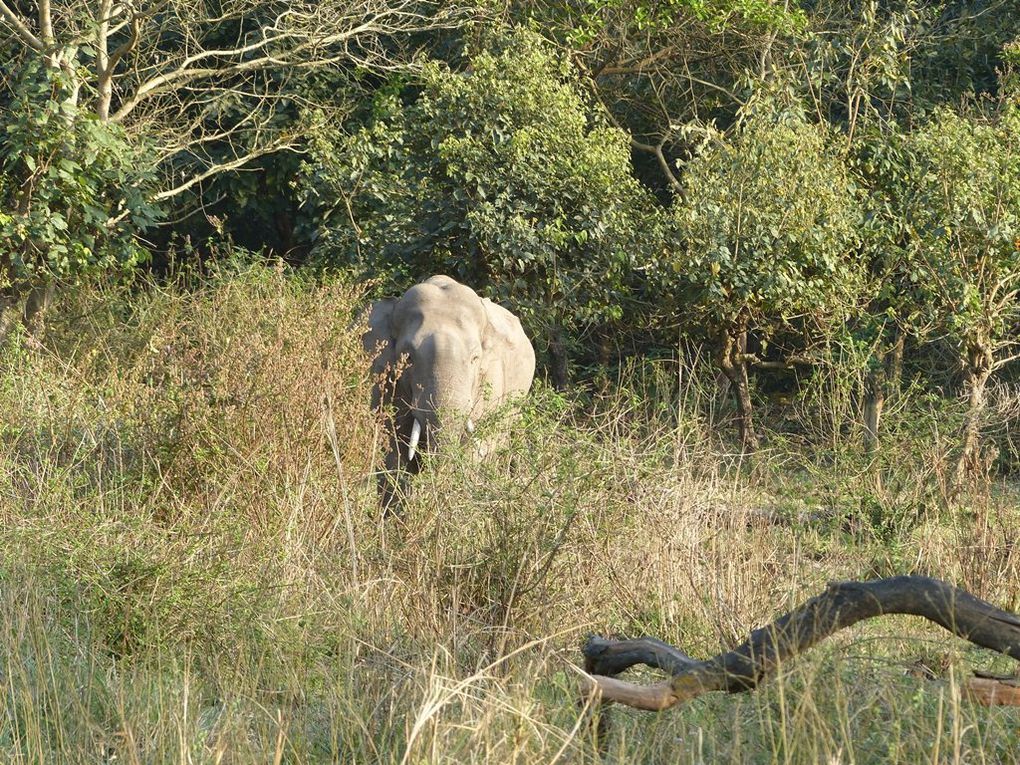 Album - Uttarakhand