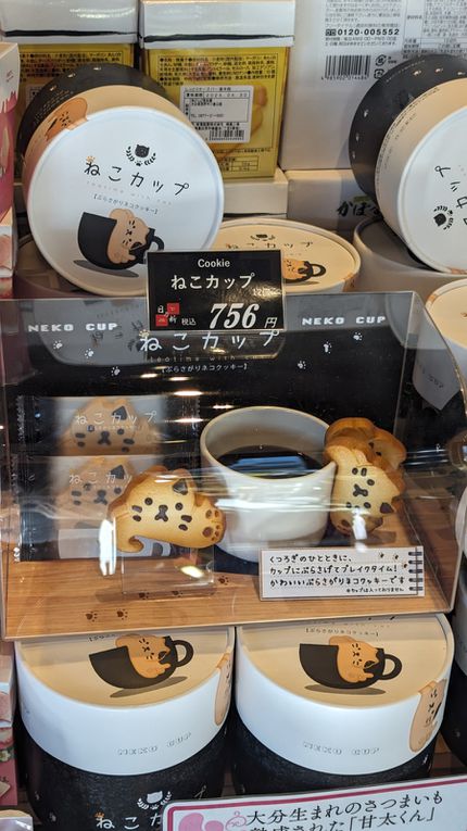 Souvenirs du Japon
