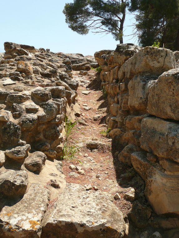 Cnossos ou Knossos (en grec ancien Κνωσός / Knôsós)- Crète
Phasitos (en grec ancien Φαιστός / Phaistós)