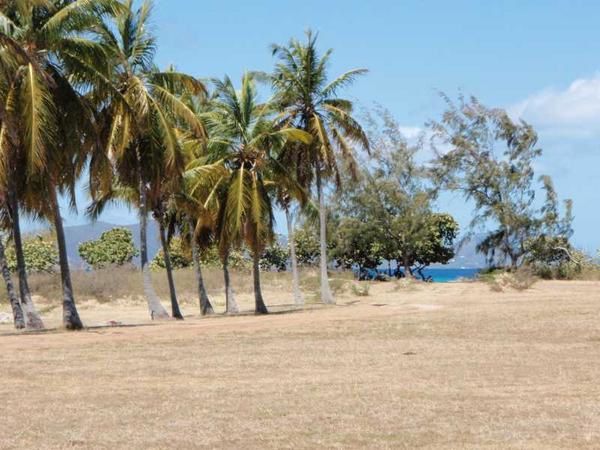 Iles Vierges (suite)
Virgin Gorda ; Ile de Guana ; Jost Van Dyke