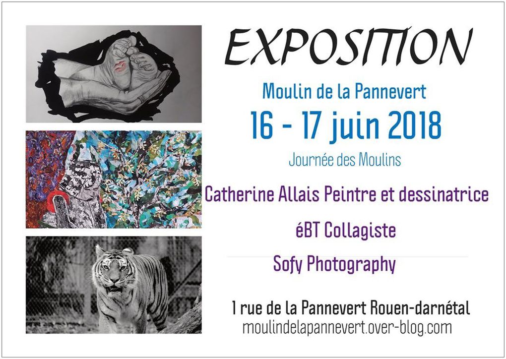 Caherine Allais,peintre et dessinatrice, éBT Collagiste, Sofy Photography