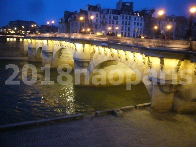  【PARIS】【サンジェルマン、芸術橋界隈Pont des Arts,Pont neuf】2018年3月9日09/03/2018