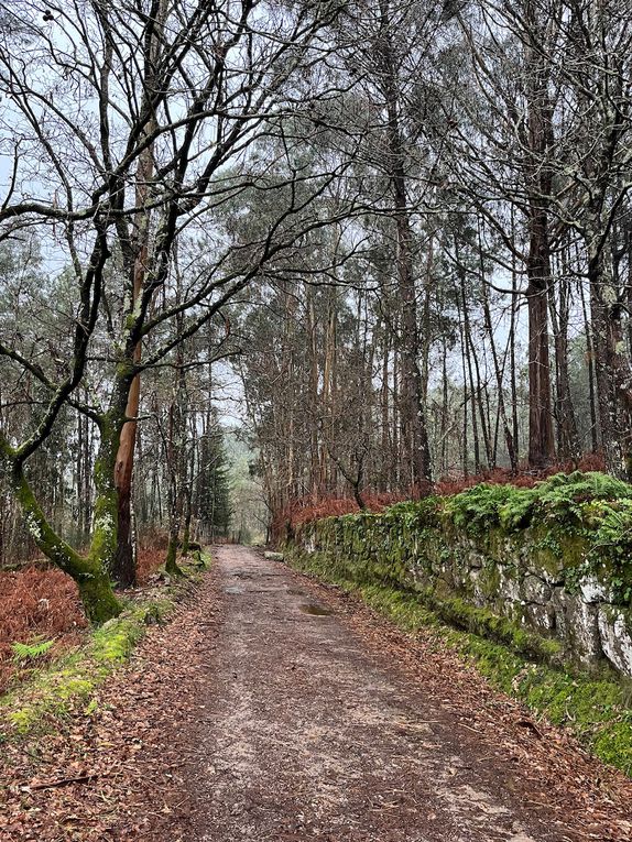 De beaux morceaux de forêts et la vue sur le bras de mer qui s’enfonce dans les terres