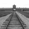 Auschwitz et les progrès de la médecine