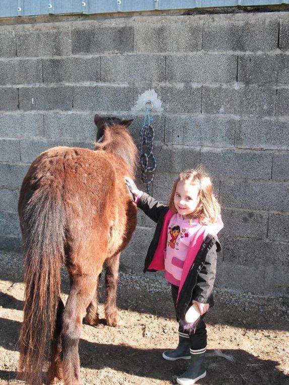 "La Traversée du Grand Canyon"

Sortie : "Equitation au Domaine d'Epona"
Sortie : "Les Chercheurs d'Oeufs aux Jardins de Cybèle"
Kermesse avec le Club PréAdos
Bricolages & Jeux...