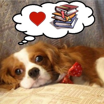 Lesmillefeuillesdefirmin.overblog.com