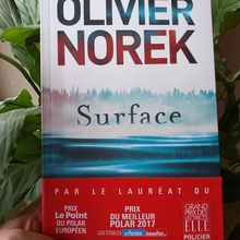 Surface de Olivier Norek