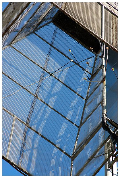 Album - 2010-07-14-Archers-du-Beffroi