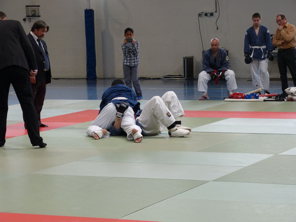 1ere partie des photos de la compétition de Nihon Budo du 10 mai 2015 au gymnase des droits de l'Homme à Guyancourt.