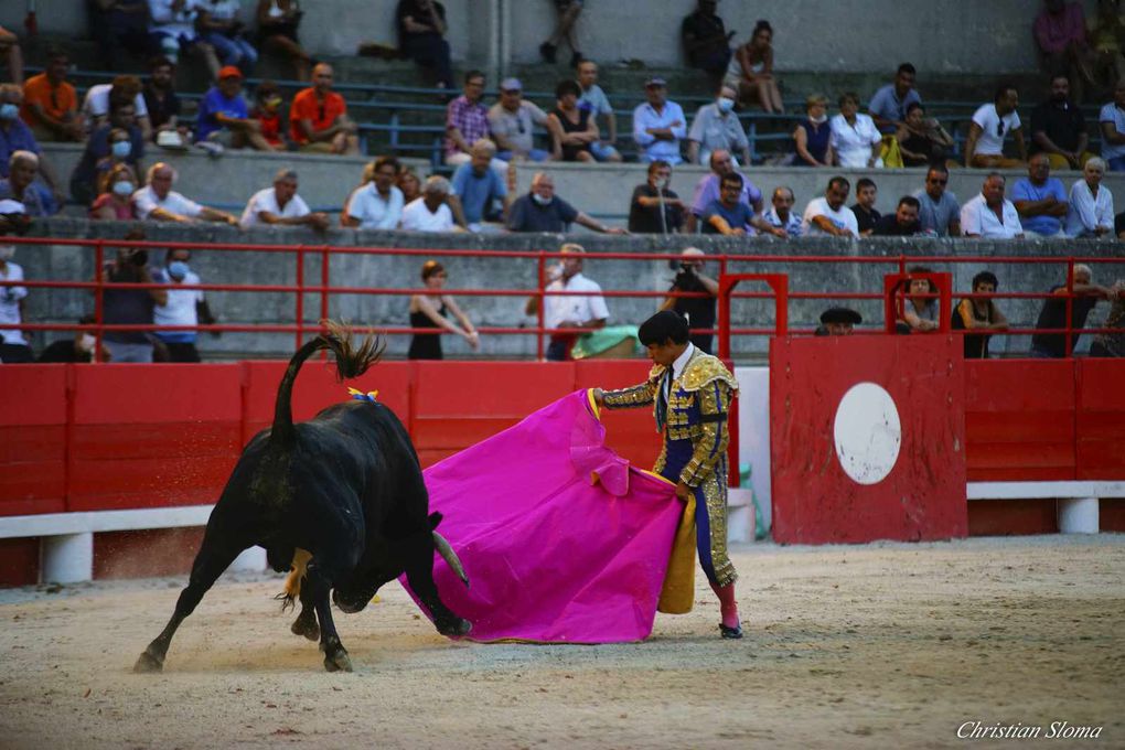      À L’OMBRE DES PLATANES, L’OREILLE D’OR À FRANCISCO MONTERO