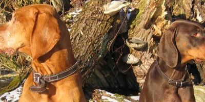 IMAGECITATION 15- chez Gisèle 