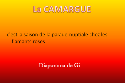 La Camargue