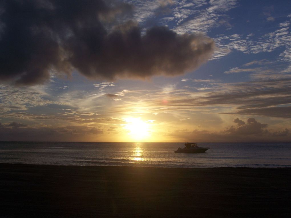 Mal wieder ein toller Urlaub, von Sydney, Brisbane, Fraser Island und last but not least Moreton Island!