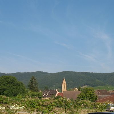 Promenade en TGV 1/7 : Départ d’Eguisheim (68)