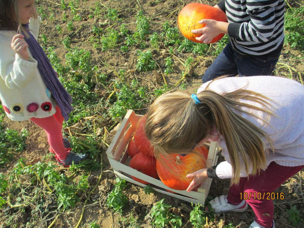 Le bonheur est dans le pré