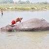 Sauraha (...oder auf Kuscheltour mit einem Rino im Chitwan NP)