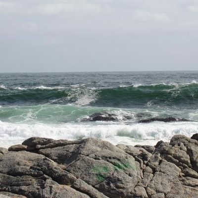 San Antonio et Isla Negra