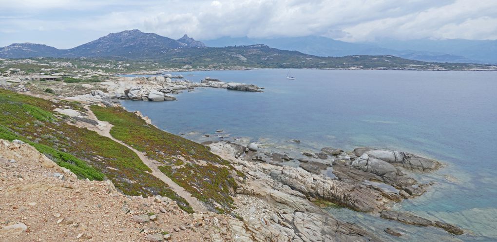 Calvi et sa citadelle, marine de Sant-Ambroggio