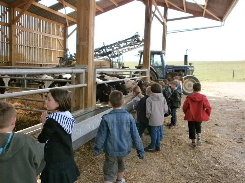 Partagez avec nous quelques-unes sorties réalisées cette année : Le bois de Creuse, la ferme d'antan, le parc de Thoiry, le voyage à Canterbury en Angleterre...