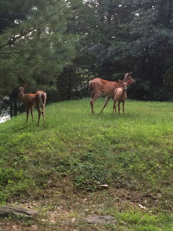 Vacances dans les Poconos