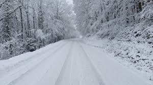 Mon Moi 2025 - semaine 47