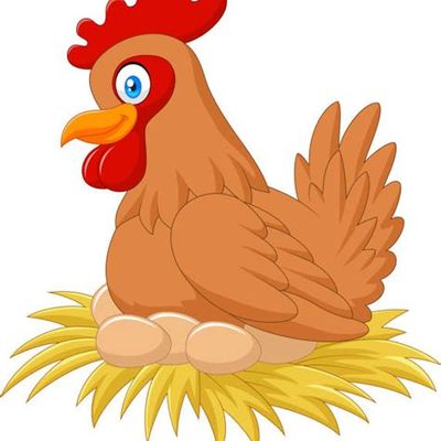 TRICOT : une nouvelle poule