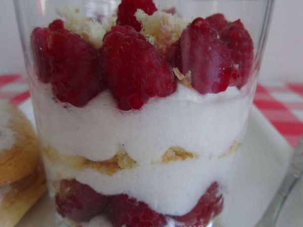 Mousse de fromage blanc aux framboises -LIGHT-