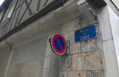 La mystérieuse Impasse du Chat à Bourges