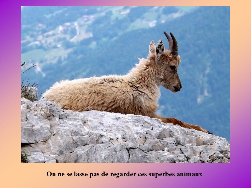 La France - Une balade en Montagne autour d'Annecy