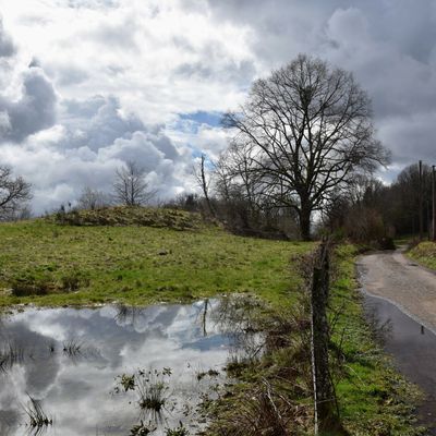 Fin d'hiver aux Grilloux - Haute-Saône