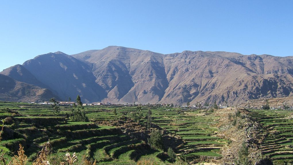 Album - Arequipa et Canyon de Colca